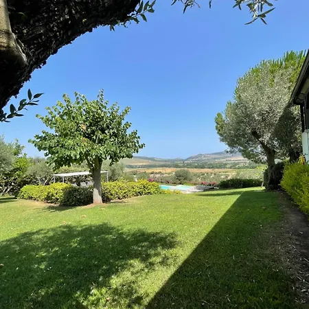 Tenuta Di Quaranta Amaroni