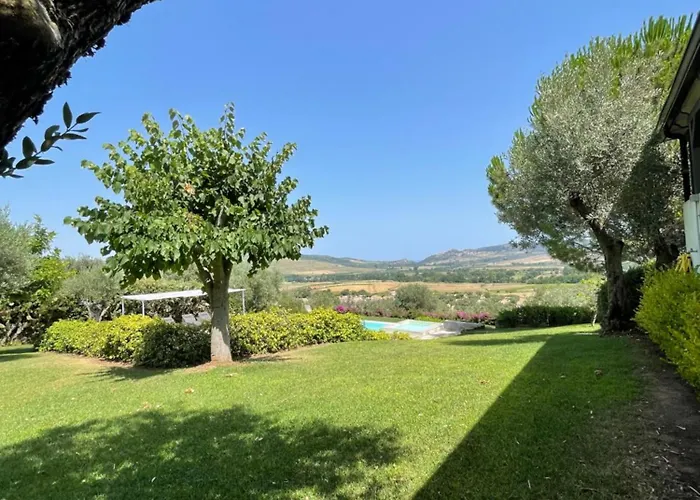 Tenuta Di Quaranta Amaroni